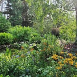 Jane Strewart Gardens