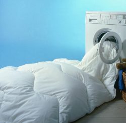 Coastal Laundry & Cleaning Coastal Laundry & Cleaning