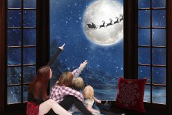 Ceamara Photography Ceamara Photography